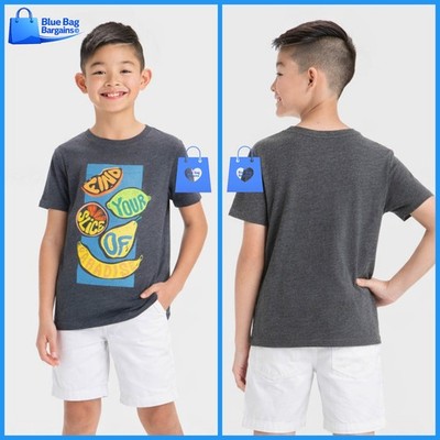 Large 10 12 Husky - Boys Short Sleeve Slice of Paradise TShirt - Cat Jack - Gray