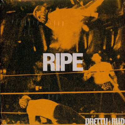 Pretty Rude - Ripe (Vinyl LP - 2025 - Original)