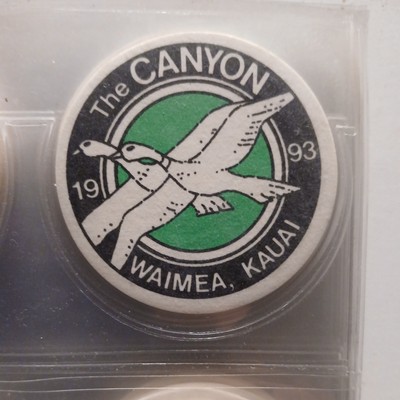 The Canyon Waimea Hawaii Pog Milk Cap Healing New Age 90s Game Piece