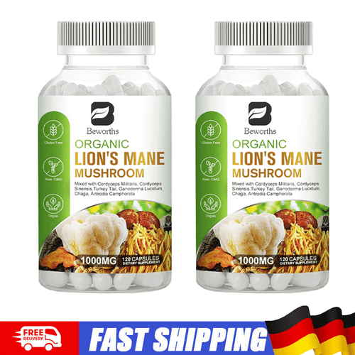 120 Kapseln 1000mg 2X Lions Mane Pilz Gedächtnis | Nootropic |Focus Supplement