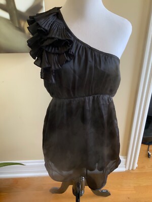 Francesca silk Dress New With Tags
