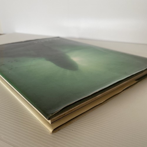 Wake Of The Whale by Brower Kenneth Hard Cover Wildlife Photography - Picture 13 of 13