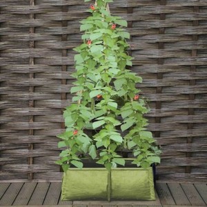 Haxnicks Pea Bean Tomato Planter Garden Patio Balcony Grow Bag Green Pot Box