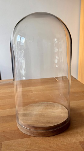 Glasglocke mit Holzboden für Deko