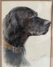 Painting by Englisch master E.M Valter “Portrait Portrait of a black labrador