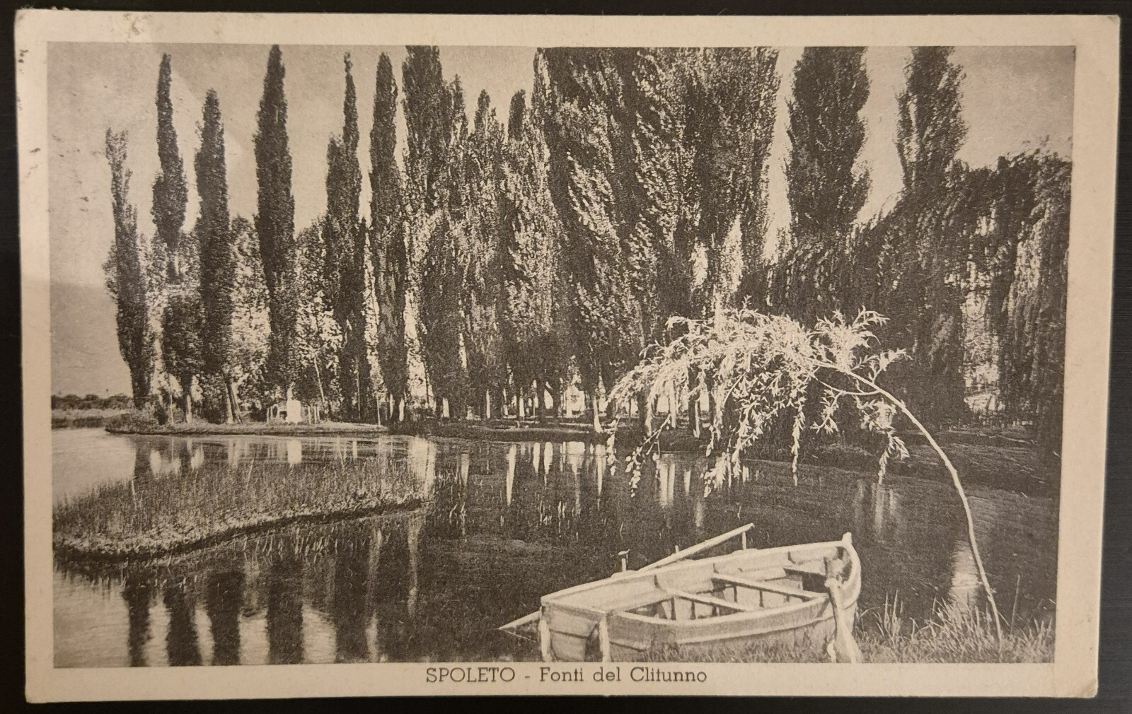 Foto 1 di 1