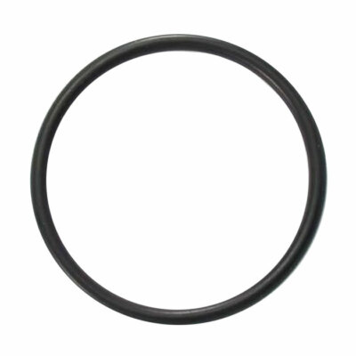 Astral Pool O Ring 50mm Suits CTX TX FX CX VX ZX Viron Union GENUINE