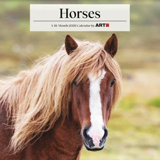 2026 Horses Mini Wall Calendar