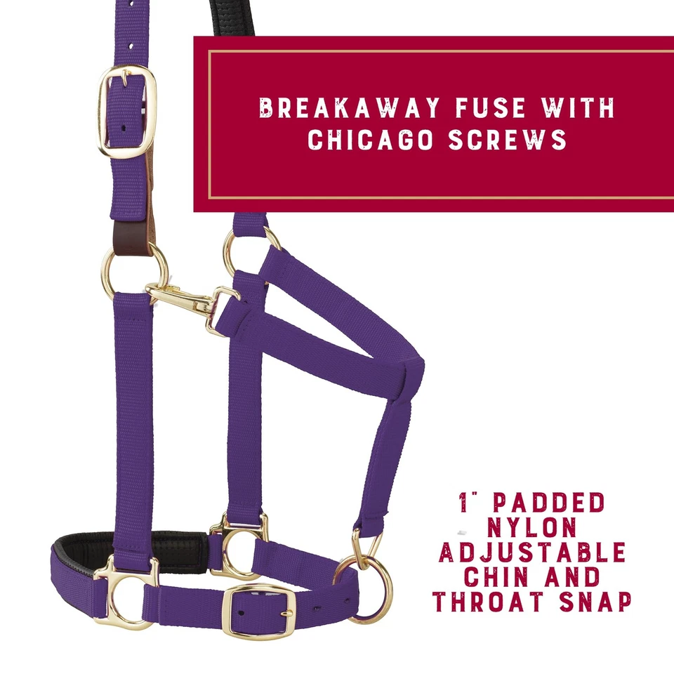 Halter Weaver Equine Breakaway para caballos cómodo elegante colores duraderos Foto 3 de 4