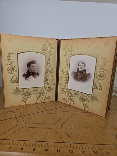 Antikes Celluloid viktorianisches Familienfotoalbum mit Kabinettkarten 1800er Foto - Bild 12 von 24