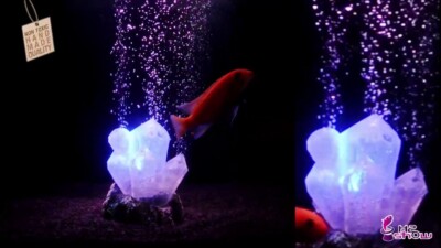 Hydor h2 Show LED Light crystal blue kit NEW FACTORY SEALED