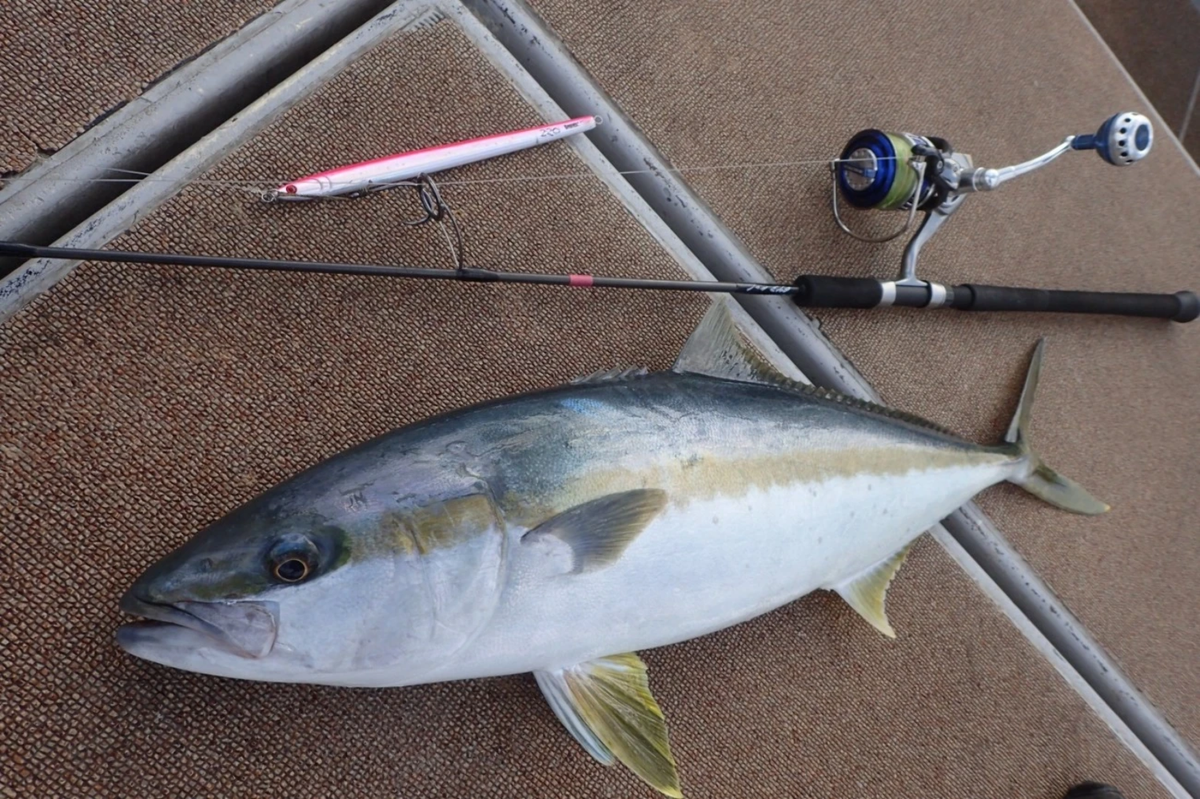 【美品】TRUTH JAPAN トゥルースジャパントリックスター 643 truthjapan トリックスター643 TRUTH JAPAN Trick Star 643 (Jiging