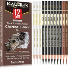 6/12 Carbon Pencils White Charcoal Highlight Black Colour Sketch Drawing Tools