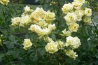 Bild 15 von 15