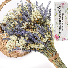 Dried Lavender and Baby's Breath Flowers Bouquet, 2 Dried Bouquets, Natural Drie