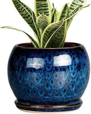 SQOWL 6 Inch Plant Pot - Ceramic Planter with Drainage Hole 6 Inch, Blue 