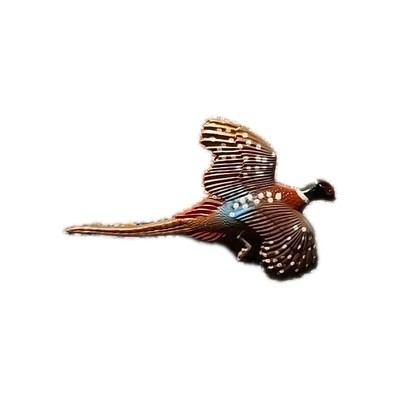 Vintage Ring Neck Rooster Pheasant Pin Brooch Colorful Plastic Hunting 