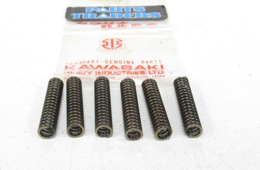 Genuine Kawasaki Cam Chain Tensioner Spring (Set of 6) Ninja 600R
