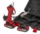Cordless Electric Pruner Cuts 30Mm Supplied With 2 Batteries 21V