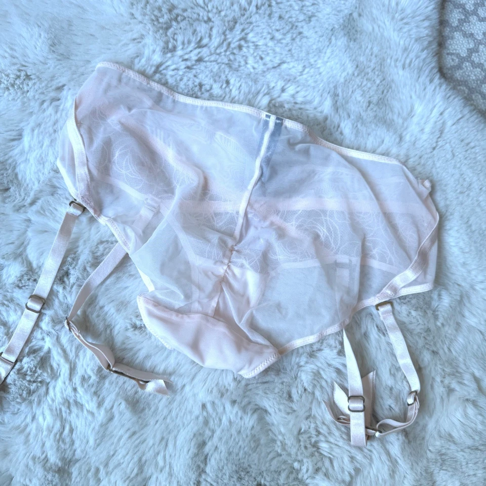 全新带标签 Natori 粉粉色花边装饰吊袜带高腰内裤 S 码 — 第 2/4 张图片