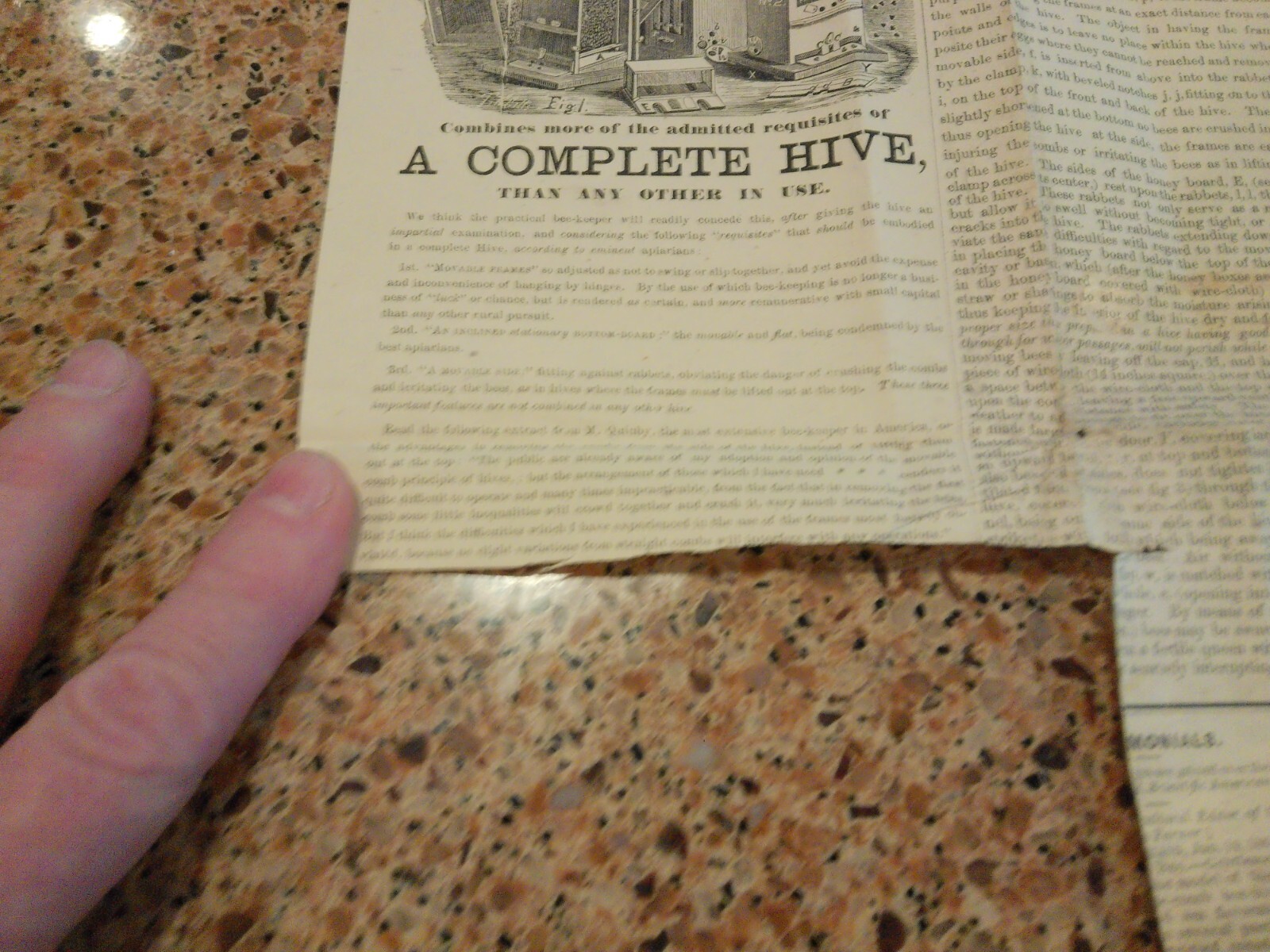 Picture 7 of 13