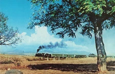 Postcard National Railways Of Mexico 262 Locomotive  Train No 109 Bridge 1962