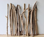 Treibholz Schwemmholz Driftwood 16 Äste Dekoration Basteln 52-65 cm **E73**