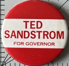 Pinback Theodore Ted Sandstrom Delaware Political Campaign Button Democrat 1972