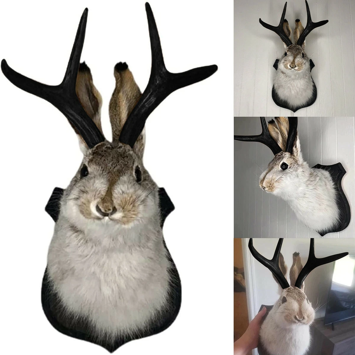 Taxidermy, Animal Head Wall Decor, Deer Head Wall Mount,Animal Wall Mount  Decor