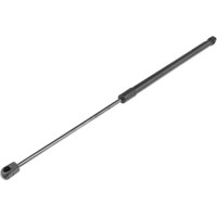 NTY Gasfeder Heckklappe Passend FüR Opel Insignia B CC Z18 2.0 Cdti