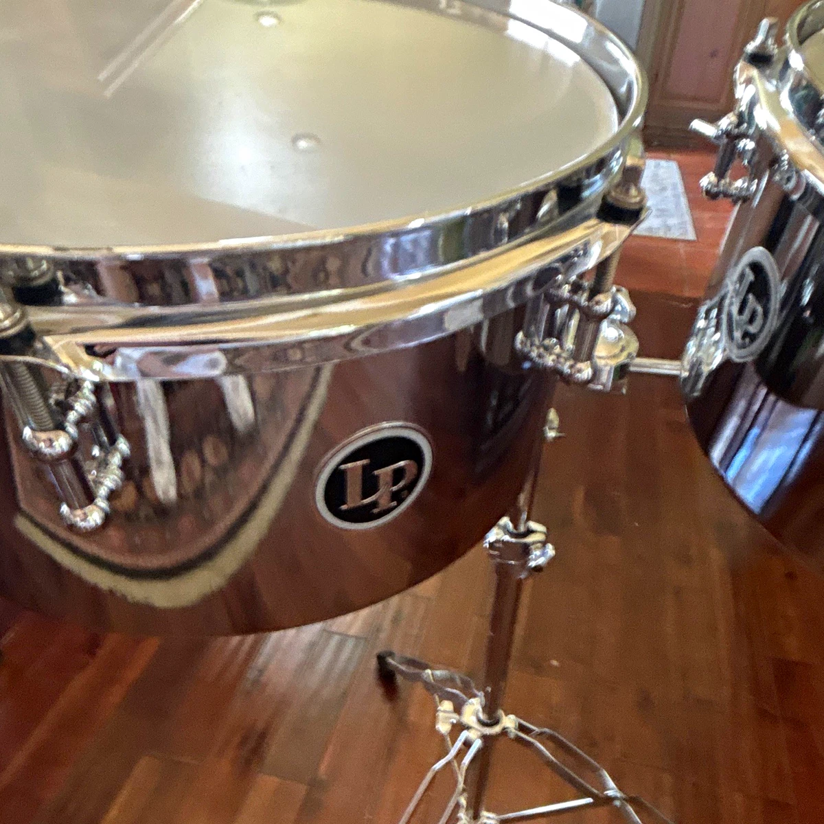 25+ Latin Percussion Instruments for sale | Updated Oct 2026