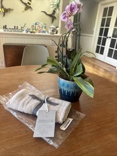 NWT- The Citizenry Stonewashed Linen Bedding Set Of 2 King Pillowcases -MSRP $89