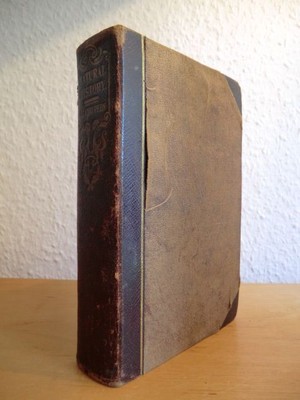 Natural History. A popular Introduction to the Study of Quadrupeds or of the Cla