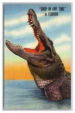 Miami Florida "Drop in Any Time" Alligator Open Mouth Linen Postcard Posted 1948
