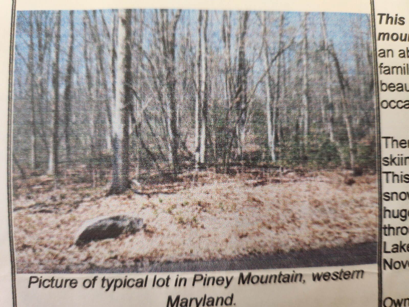 Youghiogheny Mountain Resort Garret Maryland .37 acre plot Black Oak