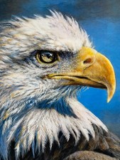 Wild  Beautiful Eagle Cotton Fabric Panel 36" x 44"