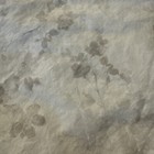 Bild 3 von 10