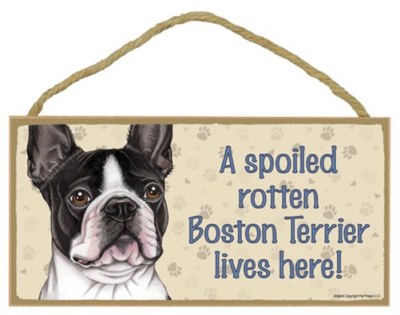 A Spoiled Rotten Boston Terrier lives here! Dog Sign 5''x10'' NEW Wood Plaque 192