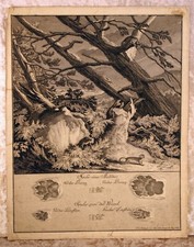 "Spuhr eines Marders-Spur von der Wiesel" Anno 1740 - Ridinger Kst.u.Rad. Pl.19