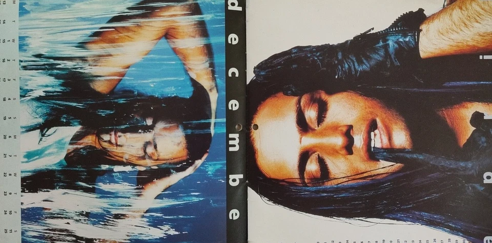 Louie Louie-Brother Louie 1993 Calendar Sleeve Vinyl 7" Single.Hardback BOSS 12. Foto 3 de 4