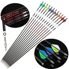 31" Pure Carbon Arrows Luminous SP300-600 Archery Hunting Arrows .003"