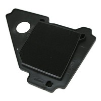 Luftfilter Miw Yamaha Ybr 125 : Y4197 Yamaha 125 Ybr 05/16
