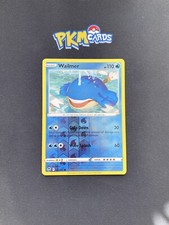 Pokémon TCG Wailmer Silver Tempest 037/195 Reverse Holo LP.