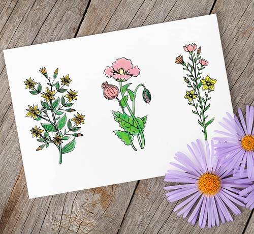 Spring Flowers Leaves Clear Stamps for Card Making and Journaling, Daisies Flowe - Picture 4 of 5