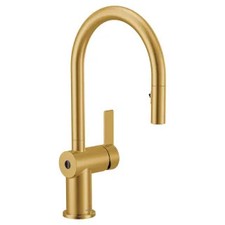 Moen 7622EWBG - Kitchen Faucet