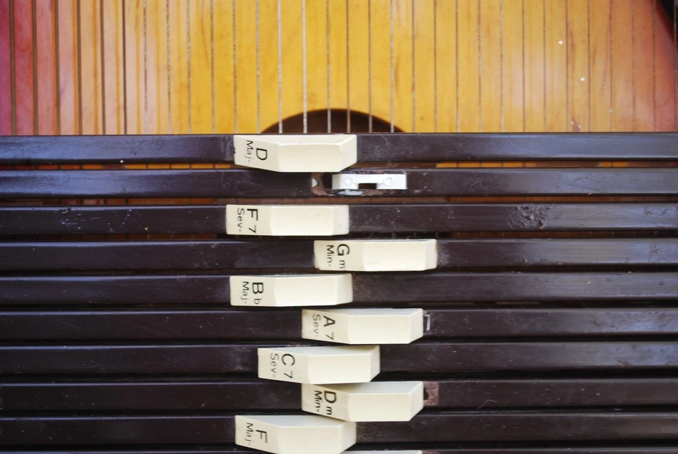 CHROMAHARP AUTOHARP 36 STRINGS - Image 4 of 4