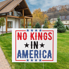 No Kings In America Yard Sign, Resist Hate Lawn Sign, Anti Trump Sign, Fascism S