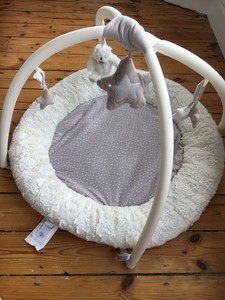 mamas and papas playmat and gym