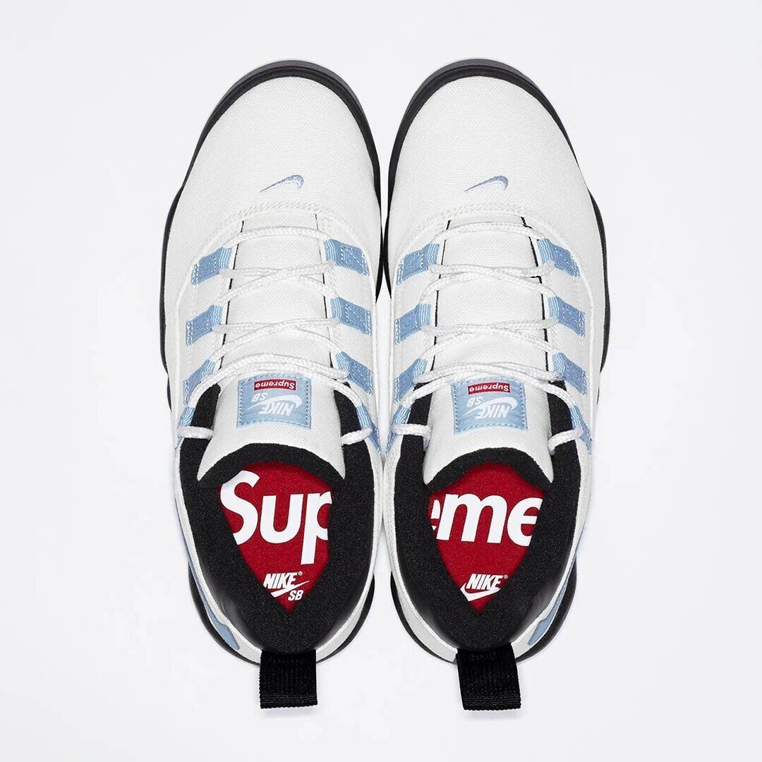 Supreme × Nike SB Darwin Low 
