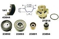 Mapco Wasserpumpe + Zahnriemensatz U.A. FüR Audi, Seat, Skoda, VW